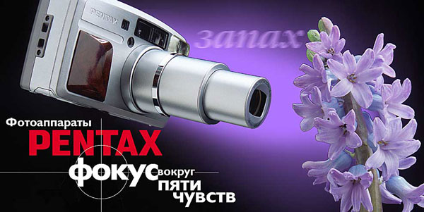 Pentax щиты 1