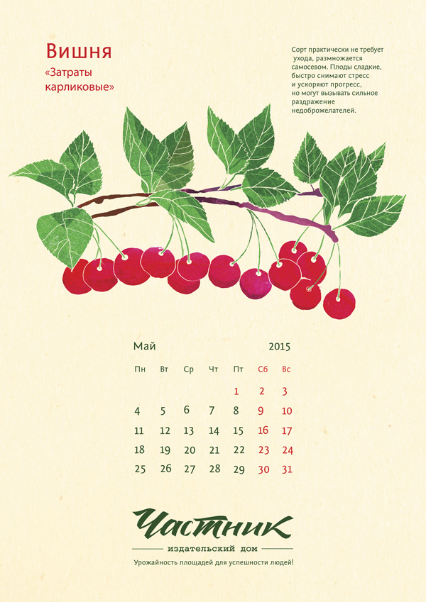 Частник календарь 2015