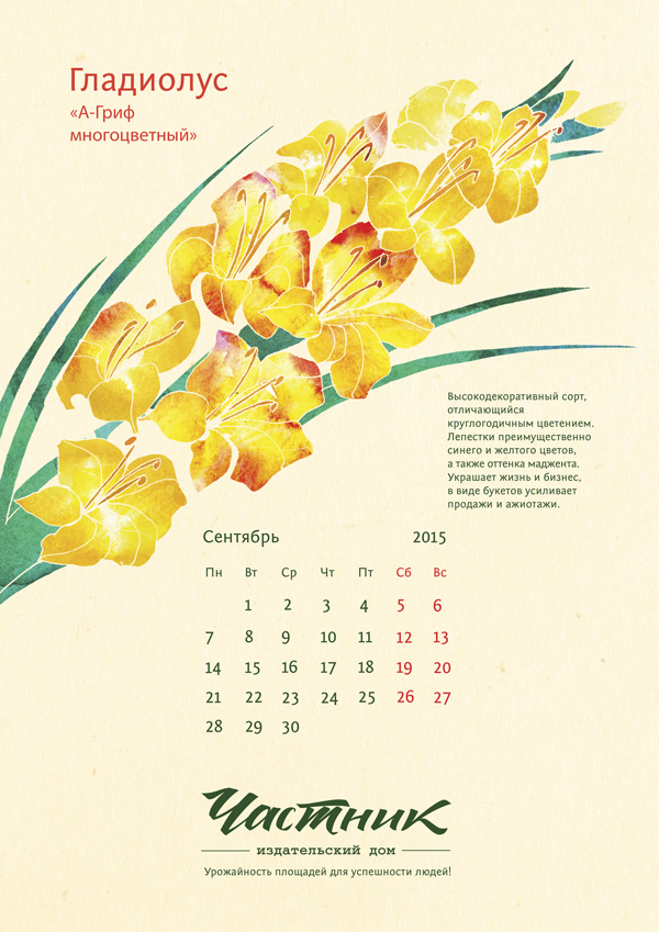 Частник календарь 2015